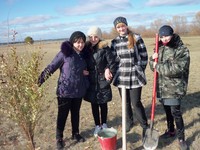 Погода долгово новичихинского района алтайского края. Токарево Алтайский край Новичихинский район. Токарево Новичихинский район. Токарёво Новичихинского района Алтайского края деревня. Мельниково Алтайский край Новичихинский район.